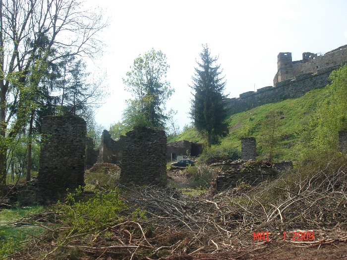 Schlägerung 068